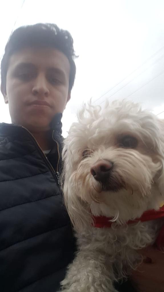 Sebastian con un perro